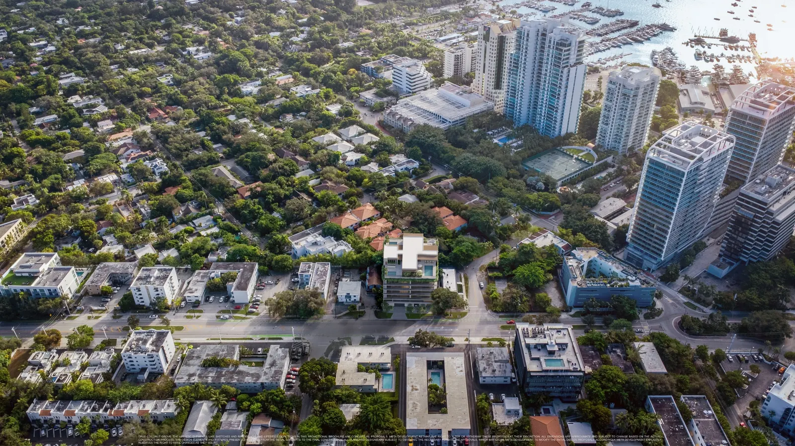 Opus Coconut Grove — image 15