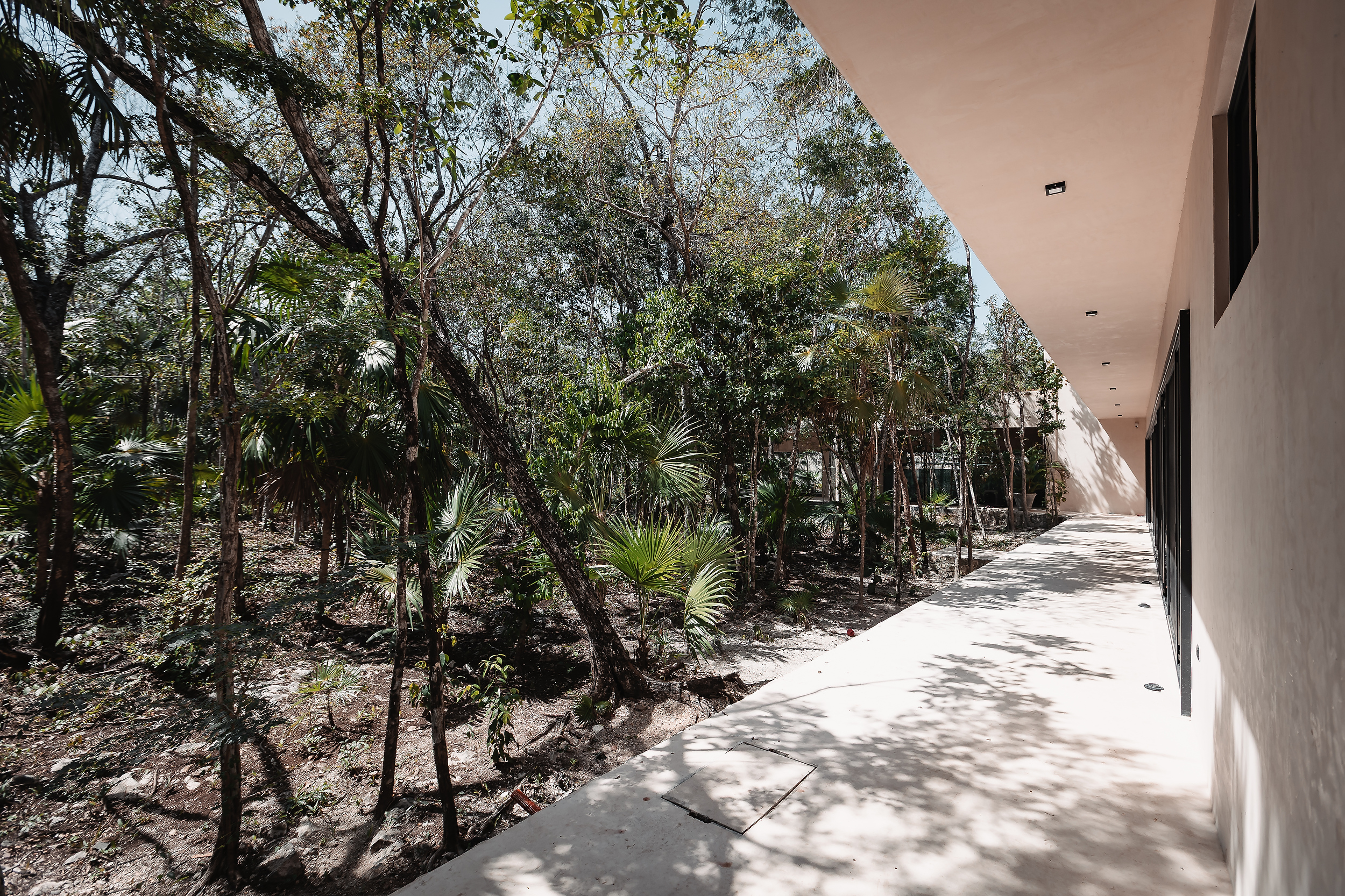 CASA CENOTE — image 20