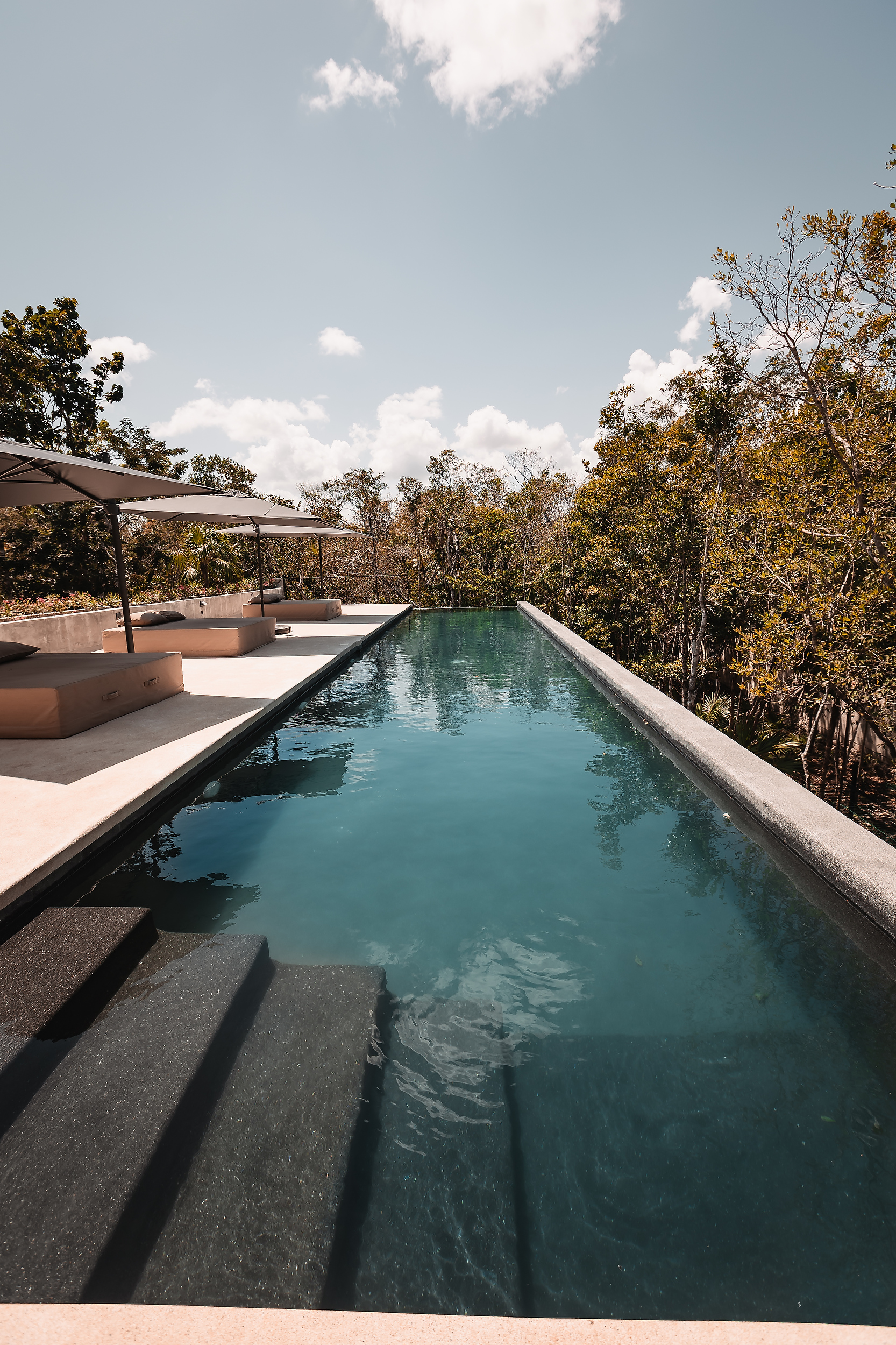 CASA CENOTE — image 17
