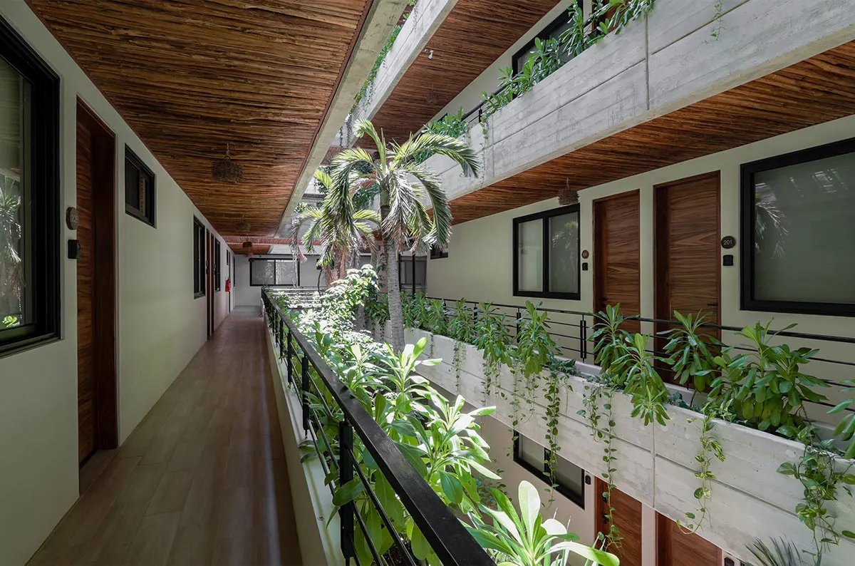 Botanic — image 3