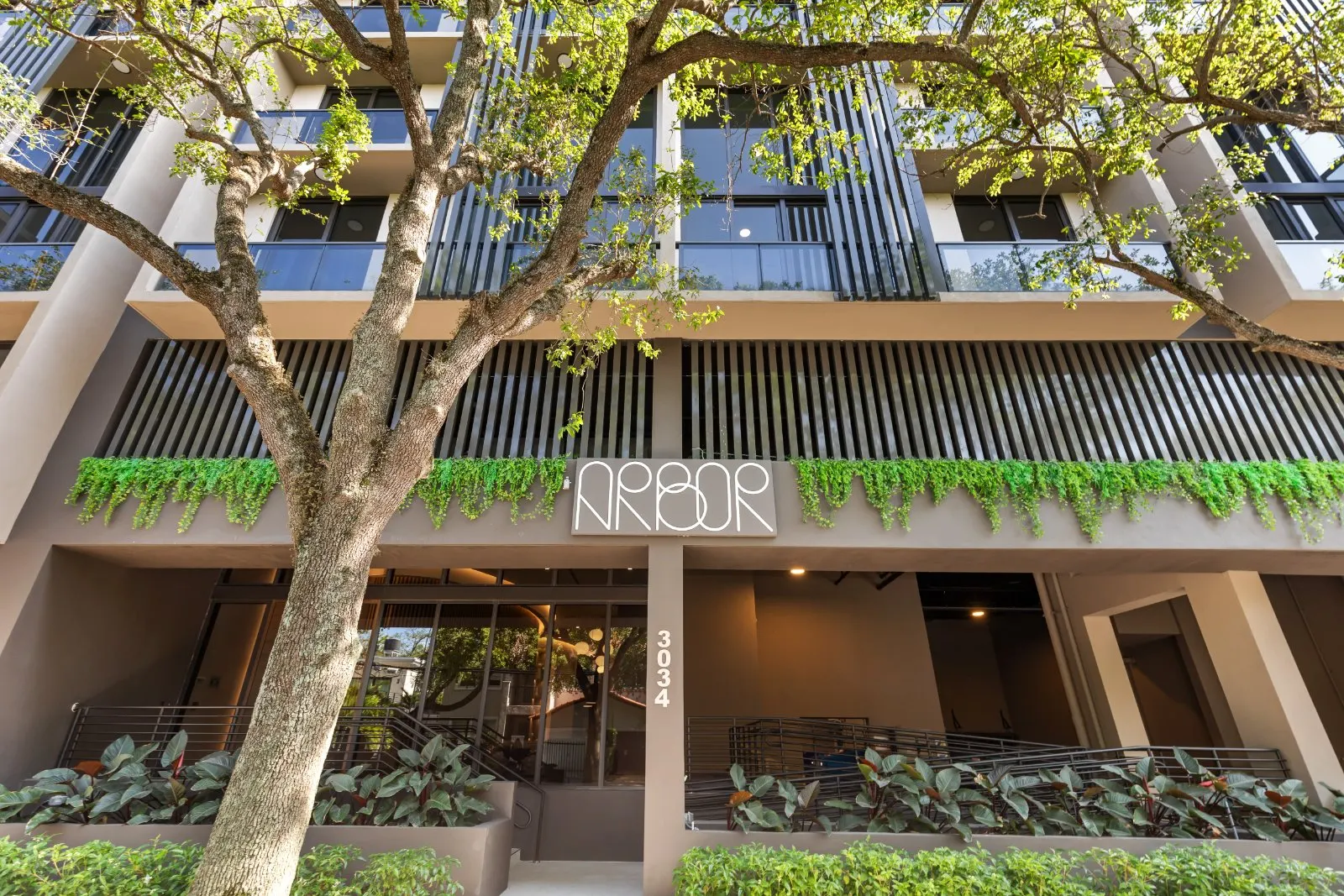 Arbor Coconut Grove — image 13