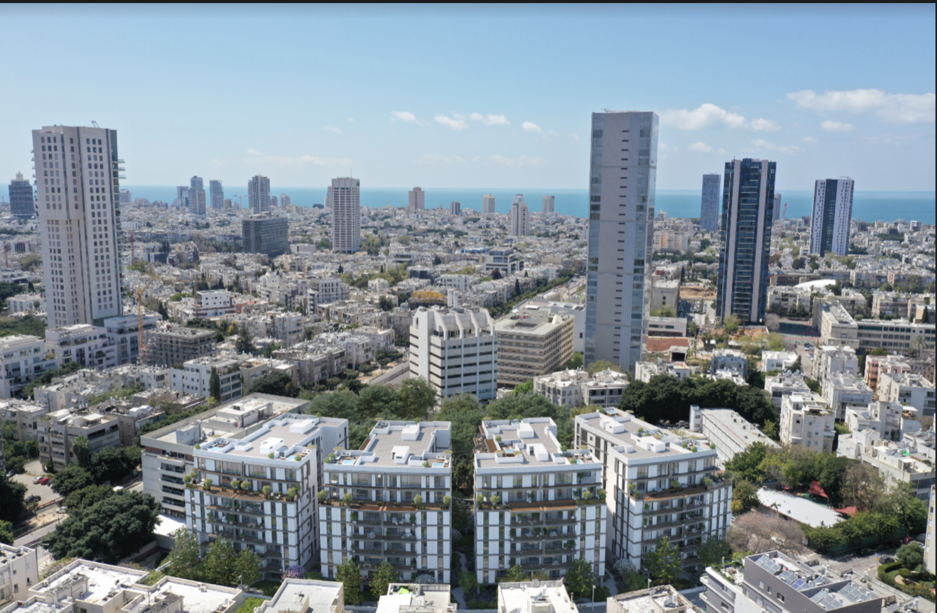 Moshe Sharet — image 2