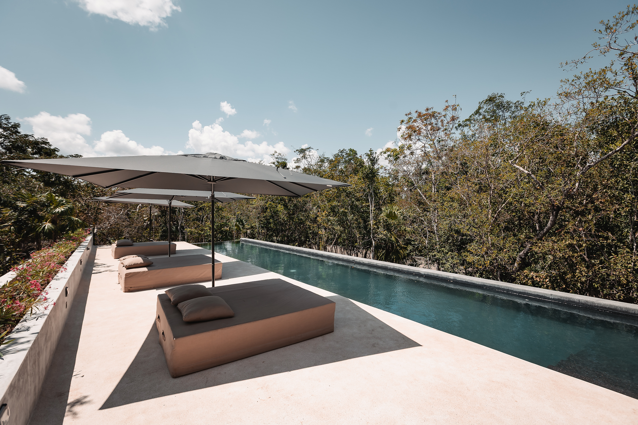 CASA CENOTE — image 18