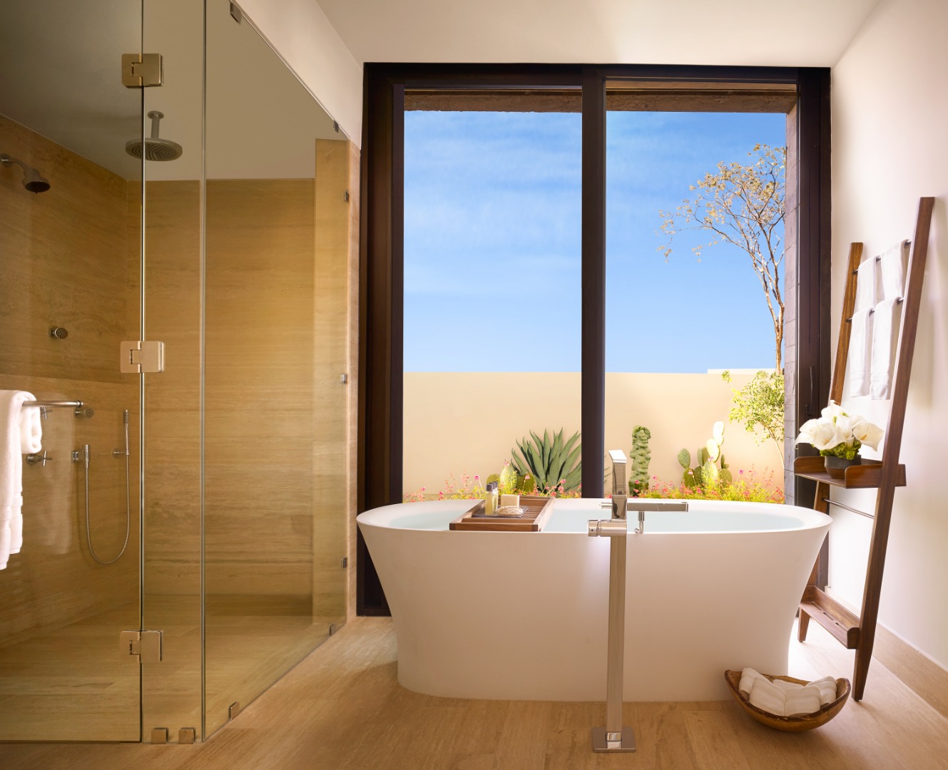 Montage Los Cabos — image 17