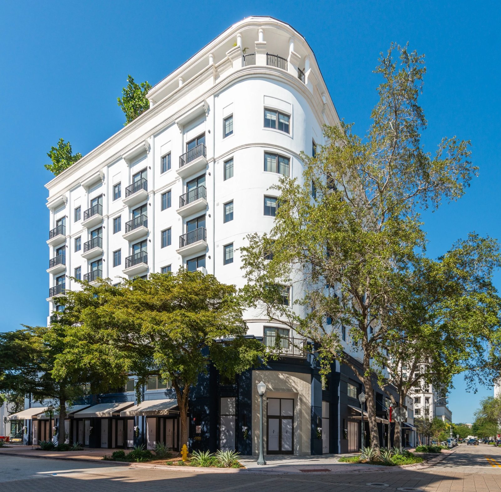 The Avenue — image 3